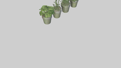 3D model Herb Pots model VR / AR / low-poly