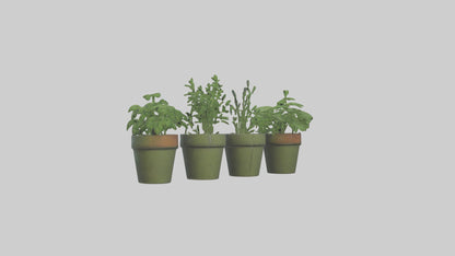 3D model Herb Pots model VR / AR / low-poly