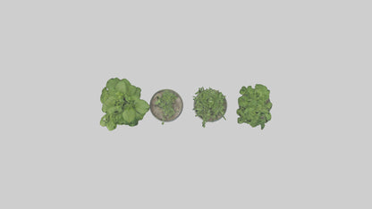 3D model Herb Pots model VR / AR / low-poly