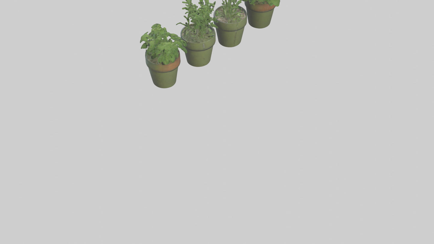 3D model Herb Pots model VR / AR / low-poly