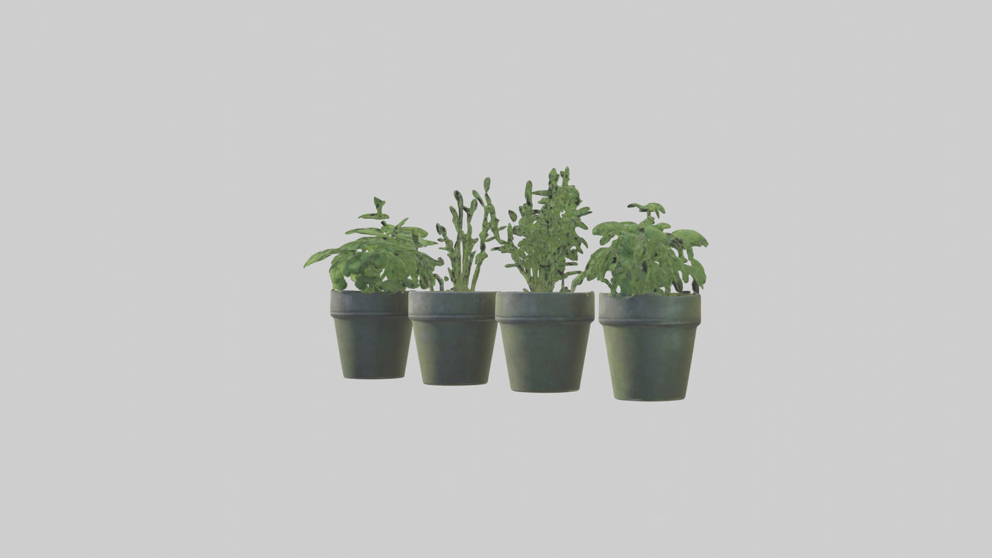 3D model Herb Pots model VR / AR / low-poly