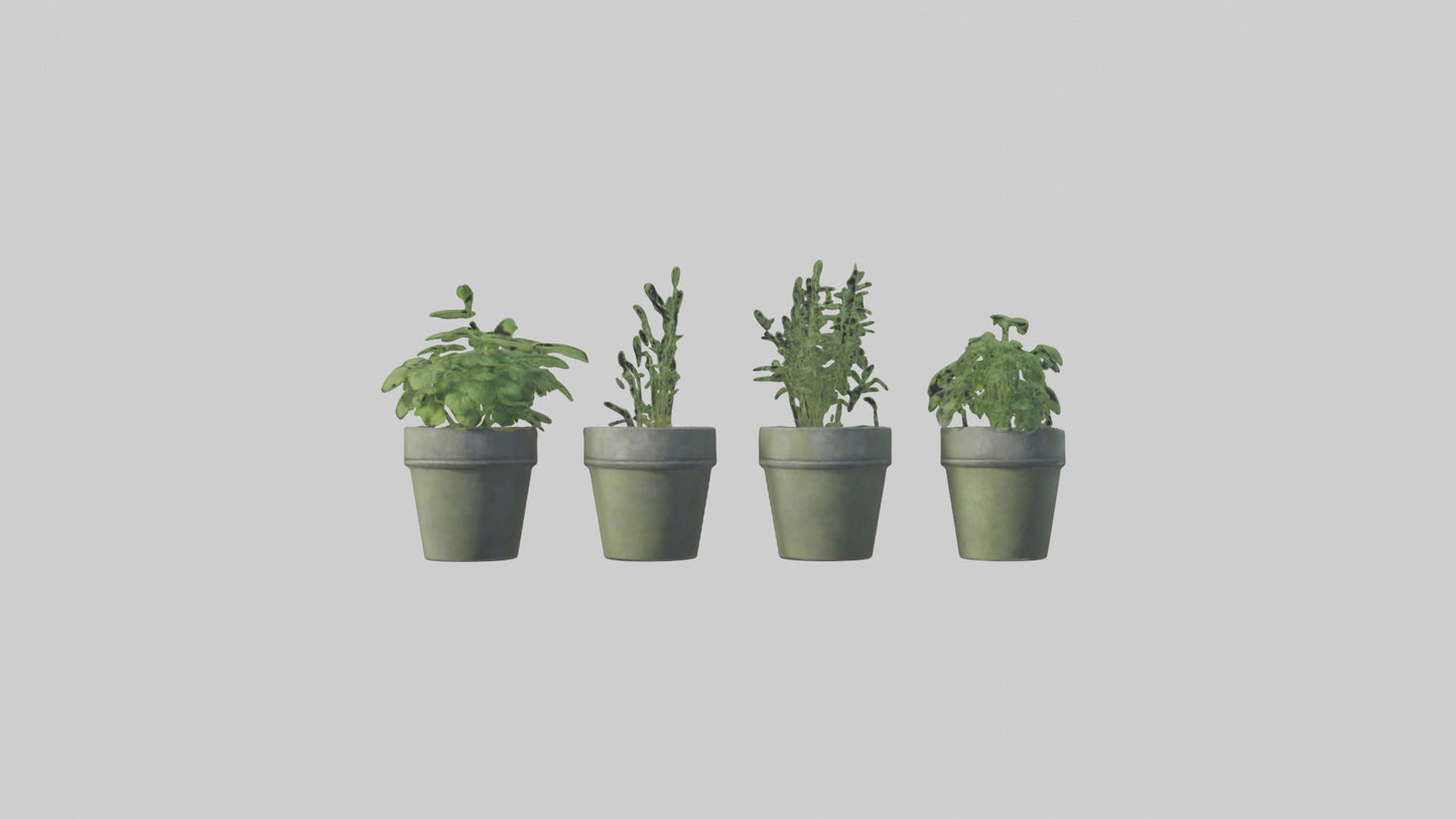 3D model Herb Pots model VR / AR / low-poly