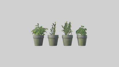 3D model Herb Pots model VR / AR / low-poly