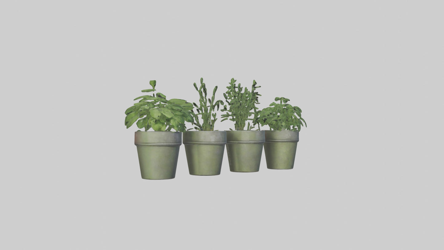 3D model Herb Pots model VR / AR / low-poly