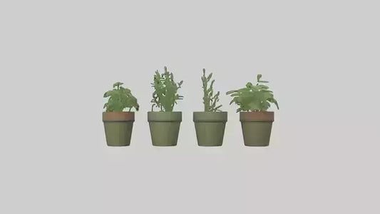 3D model Herb Pots model VR / AR / low-poly
