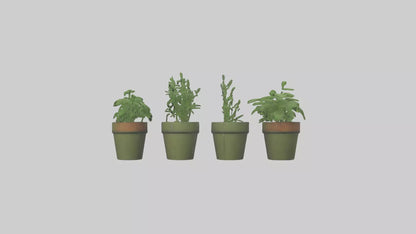 3D model Herb Pots model VR / AR / low-poly