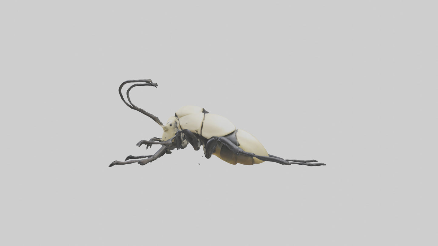 3D model Hercules Beetle climbing tree model VR / AR / low-poly