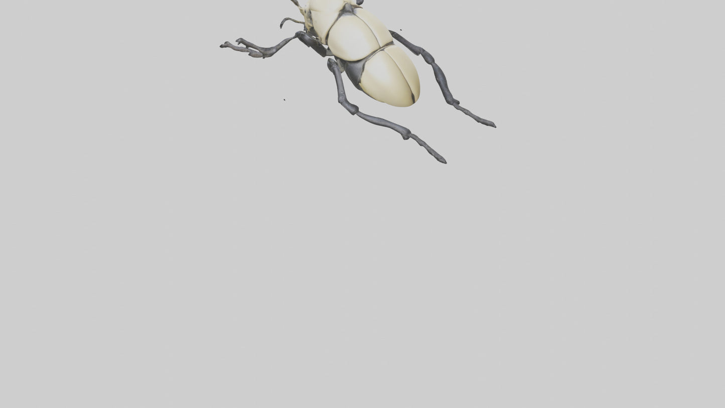 3D model Hercules Beetle climbing tree model VR / AR / low-poly