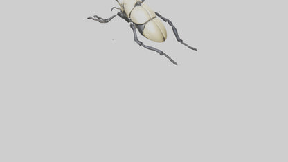 3D model Hercules Beetle climbing tree model VR / AR / low-poly