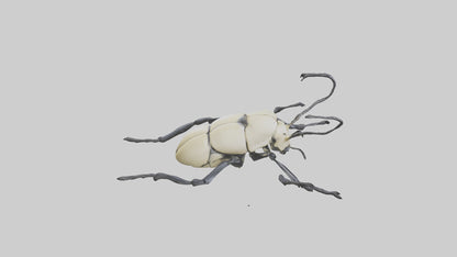 3D model Hercules Beetle climbing tree model VR / AR / low-poly