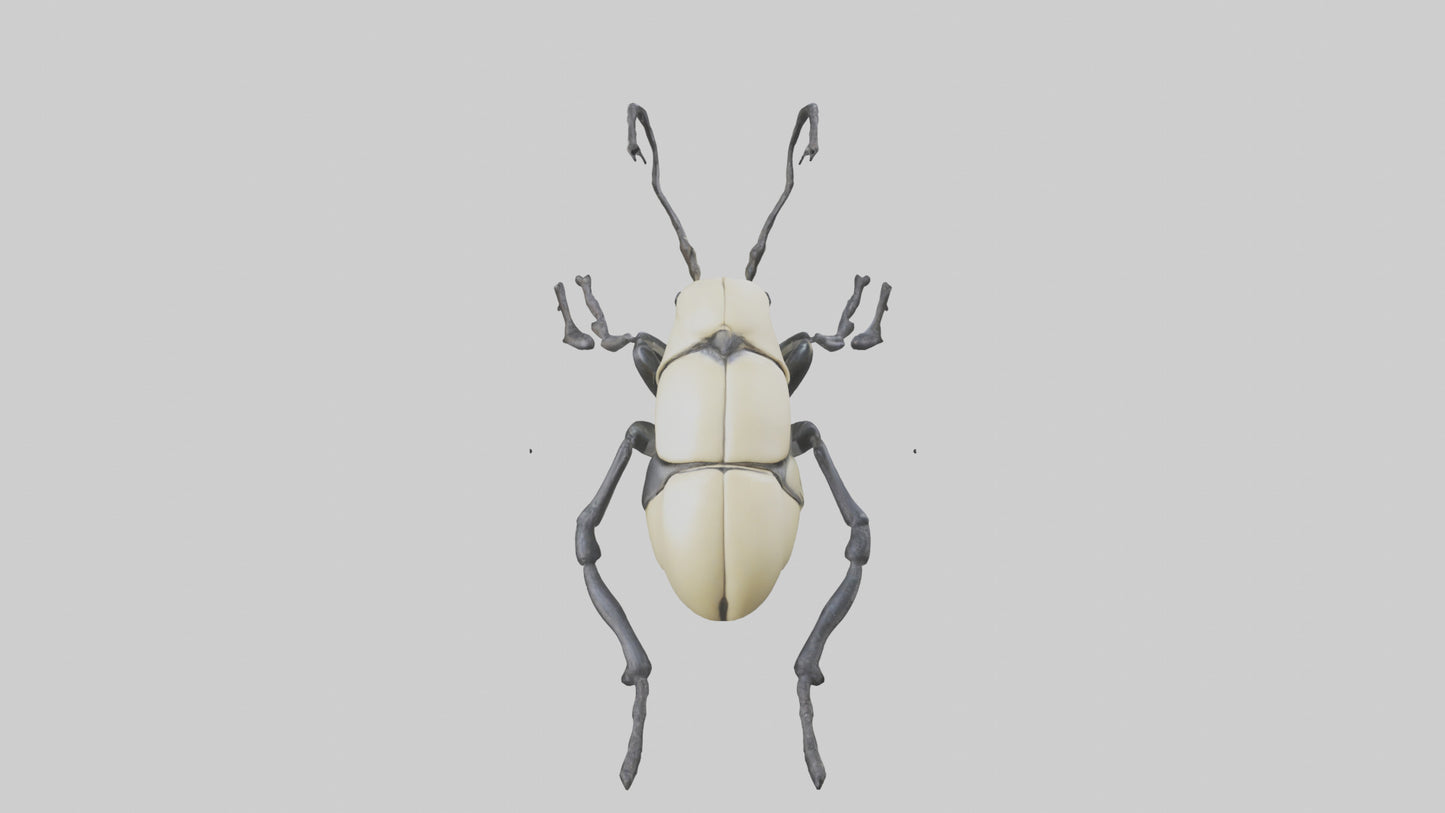 3D model Hercules Beetle climbing tree model VR / AR / low-poly