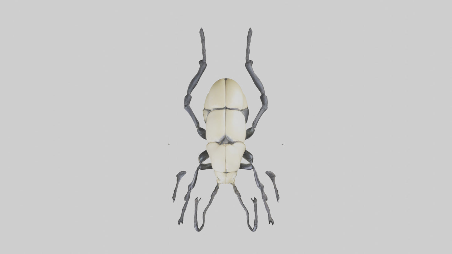 3D model Hercules Beetle climbing tree model VR / AR / low-poly