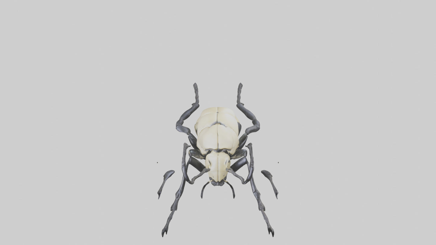 3D model Hercules Beetle climbing tree model VR / AR / low-poly