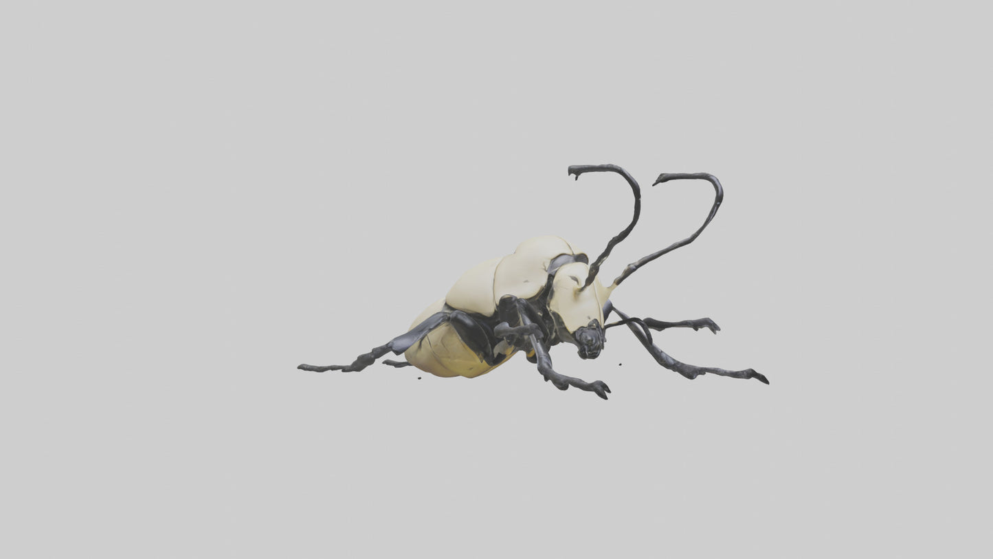 3D model Hercules Beetle climbing tree model VR / AR / low-poly