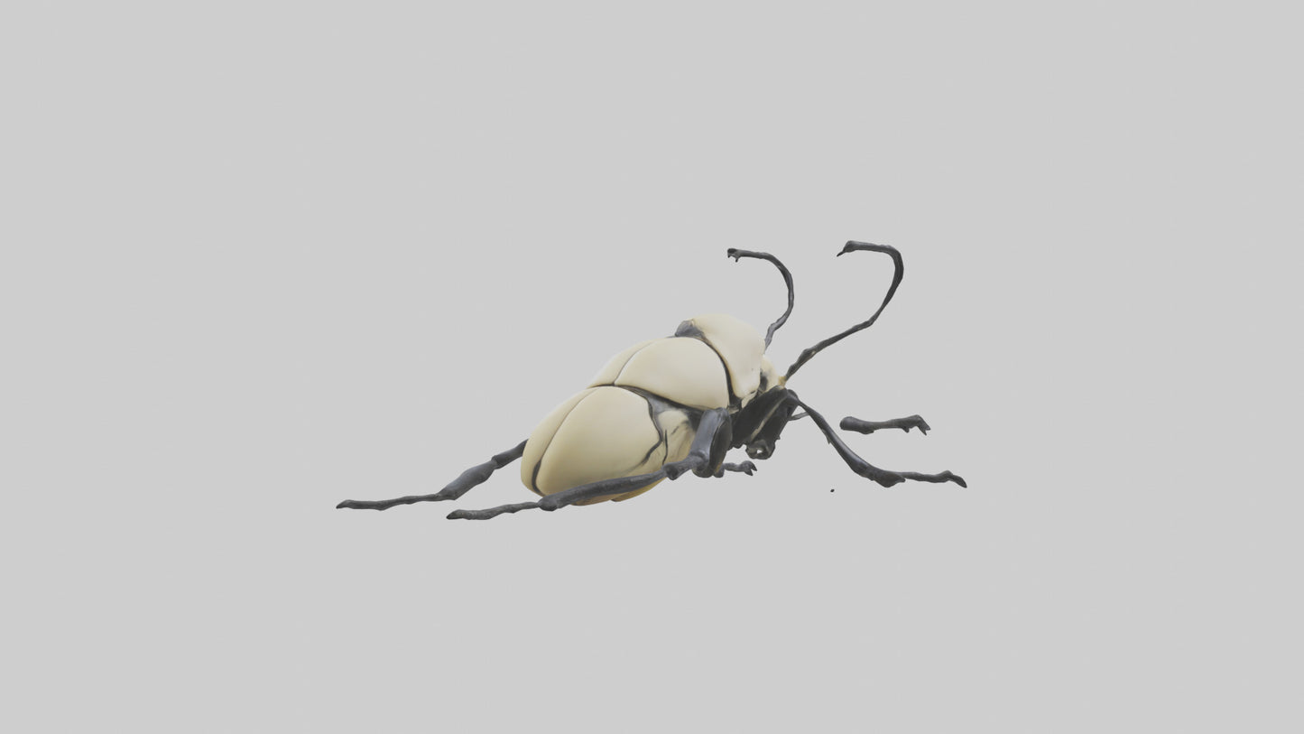 3D model Hercules Beetle climbing tree model VR / AR / low-poly