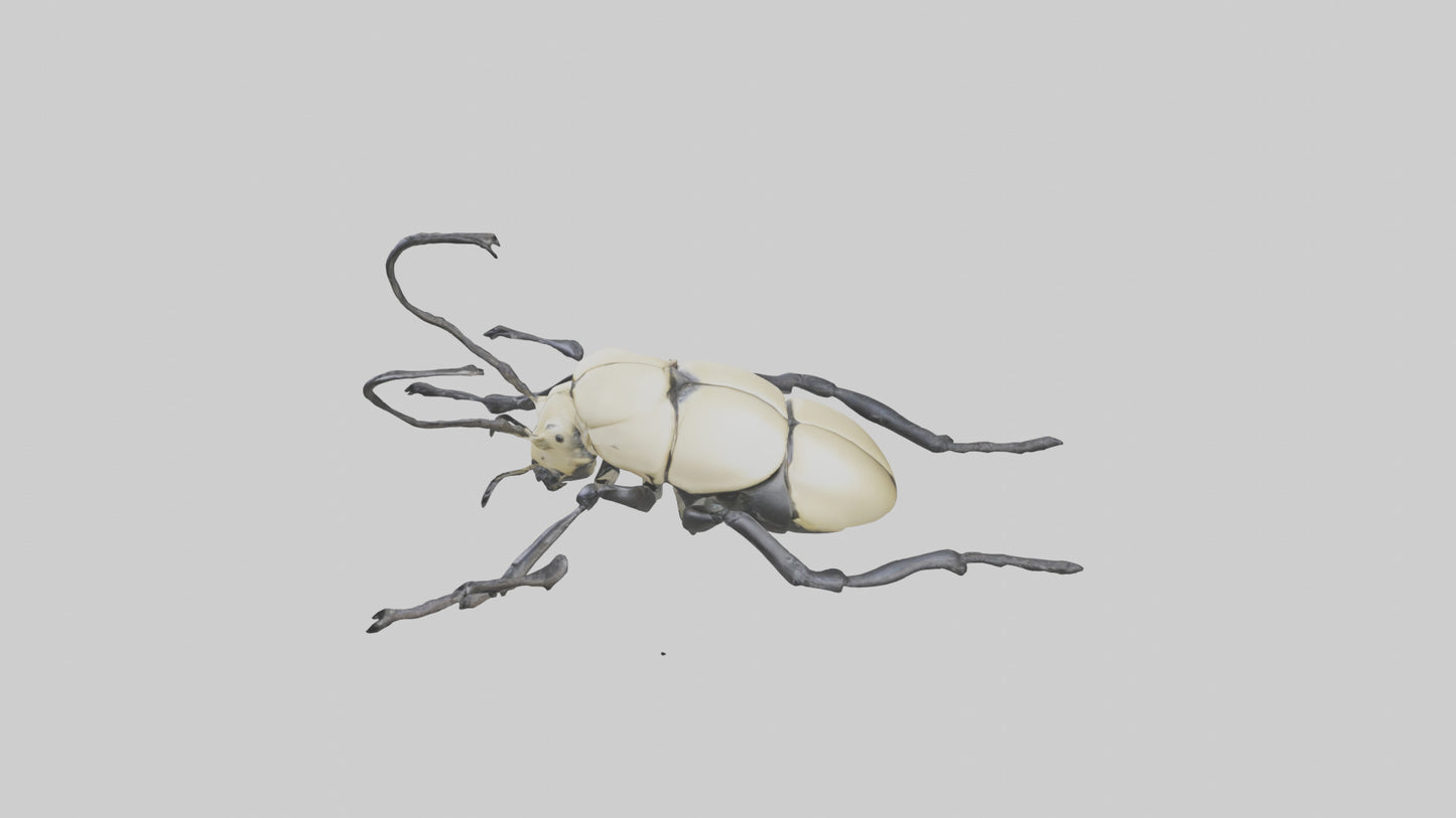 3D model Hercules Beetle climbing tree model VR / AR / low-poly