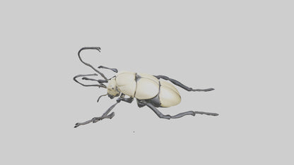 3D model Hercules Beetle climbing tree model VR / AR / low-poly