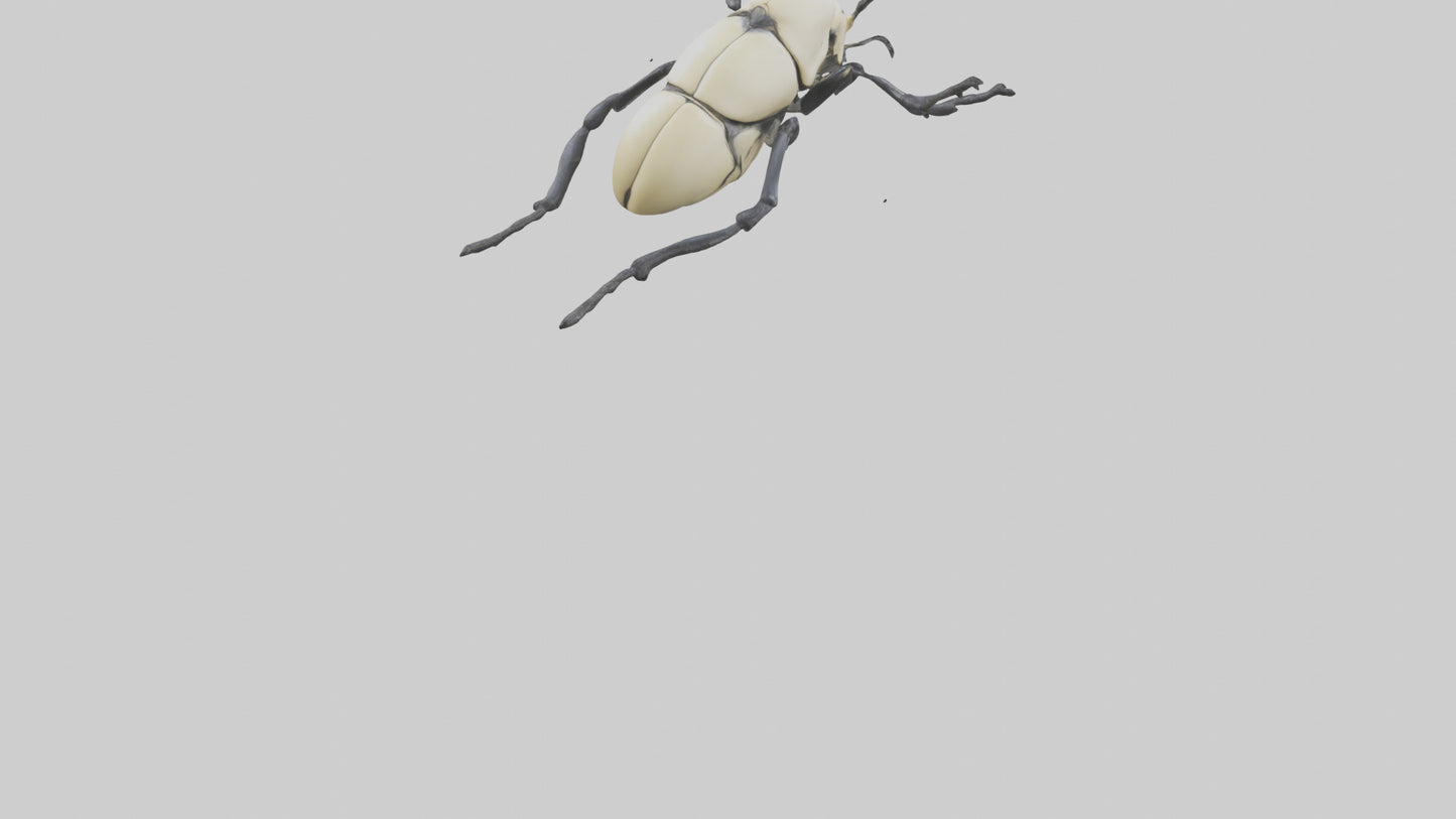 3D model Hercules Beetle climbing tree model VR / AR / low-poly