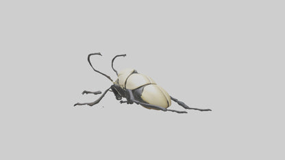3D model Hercules Beetle climbing tree model VR / AR / low-poly