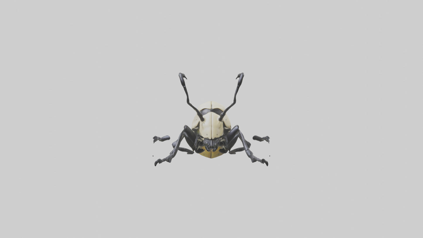 3D model Hercules Beetle climbing tree model VR / AR / low-poly
