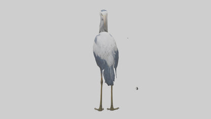 3D model Heron standing model VR / AR / low-poly