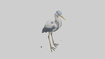 3D model Heron standing model VR / AR / low-poly