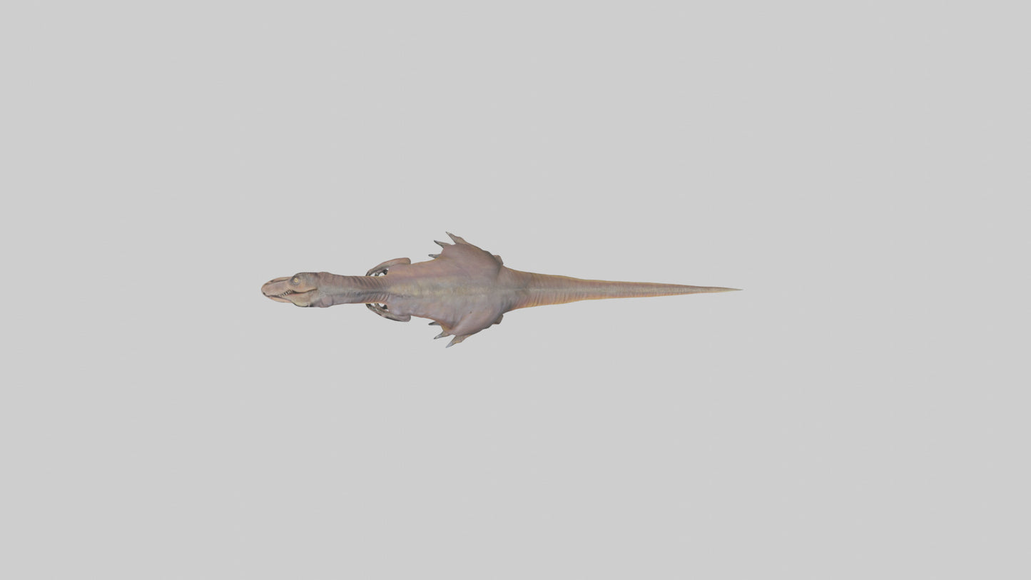 3D model Herrerasaurus model VR / AR / low-poly
