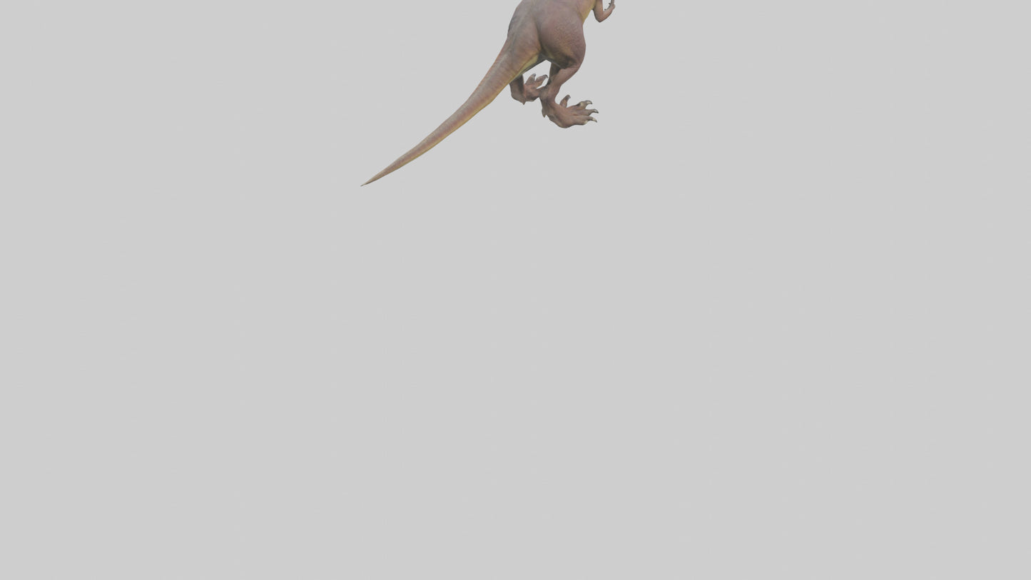 3D model Herrerasaurus model VR / AR / low-poly