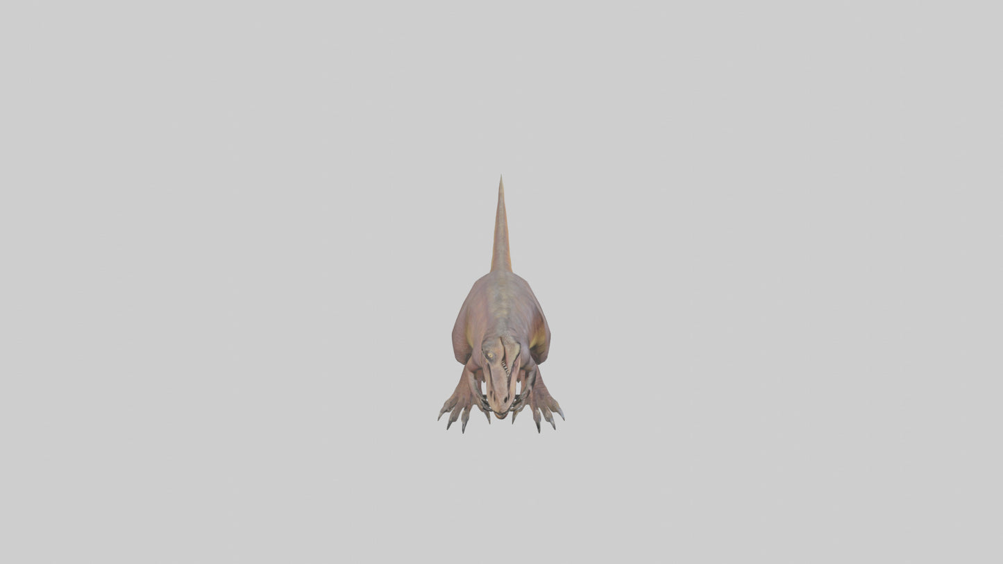 3D model Herrerasaurus model VR / AR / low-poly