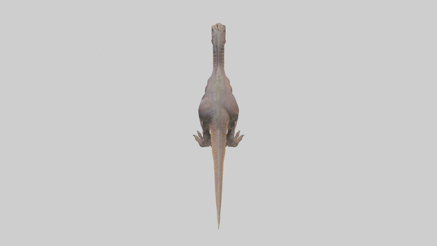 3D model Herrerasaurus model VR / AR / low-poly