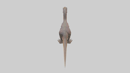 3D model Herrerasaurus model VR / AR / low-poly
