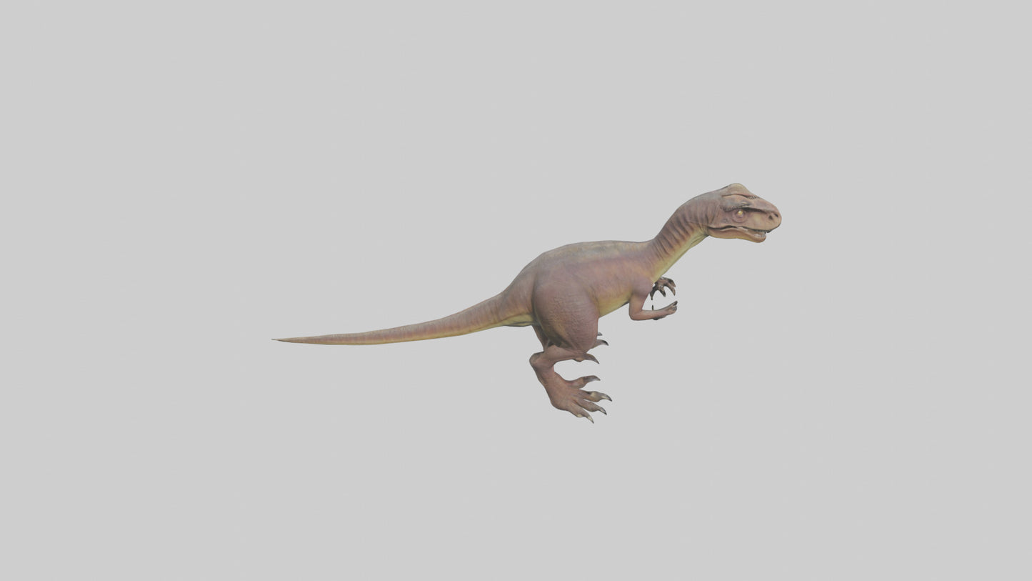 3D model Herrerasaurus model VR / AR / low-poly