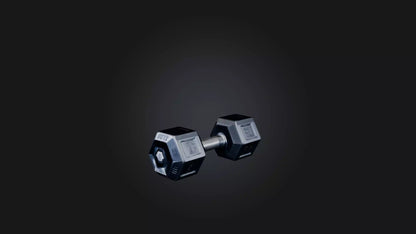 3D model Hex Dumbell VR / AR / low-poly