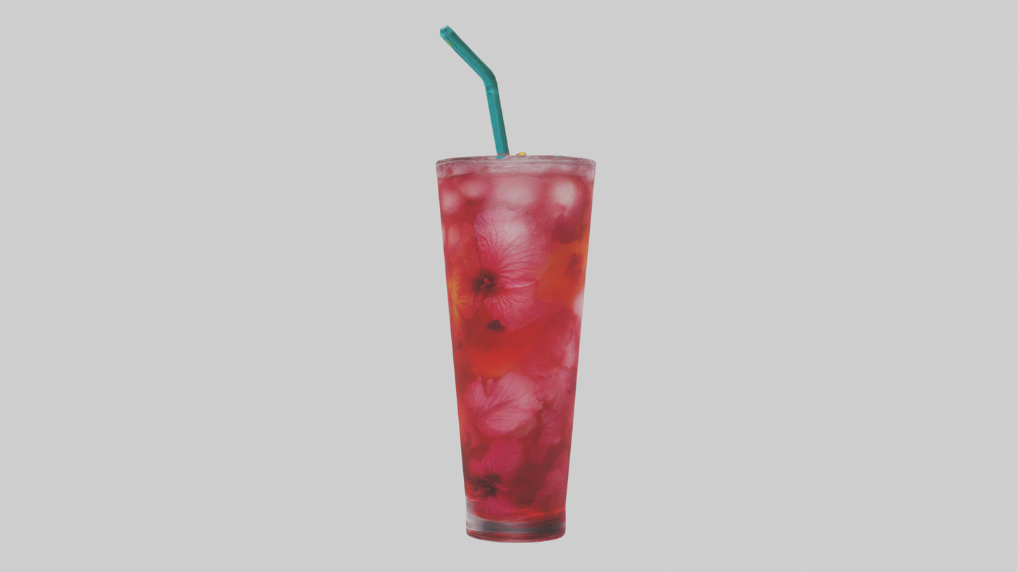 Hibiscus iced tea model VR / AR / low-poly