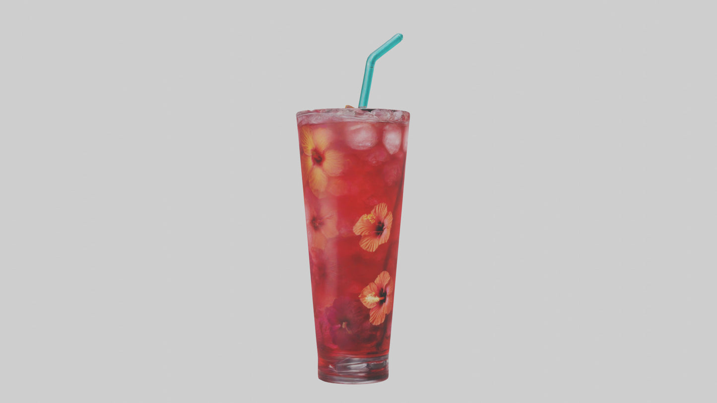 Hibiscus iced tea model VR / AR / low-poly