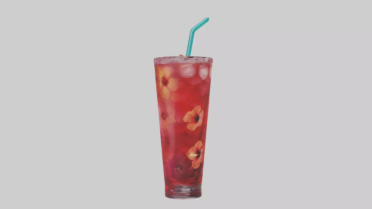Hibiscus iced tea model VR / AR / low-poly