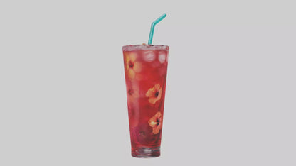 Hibiscus iced tea model VR / AR / low-poly