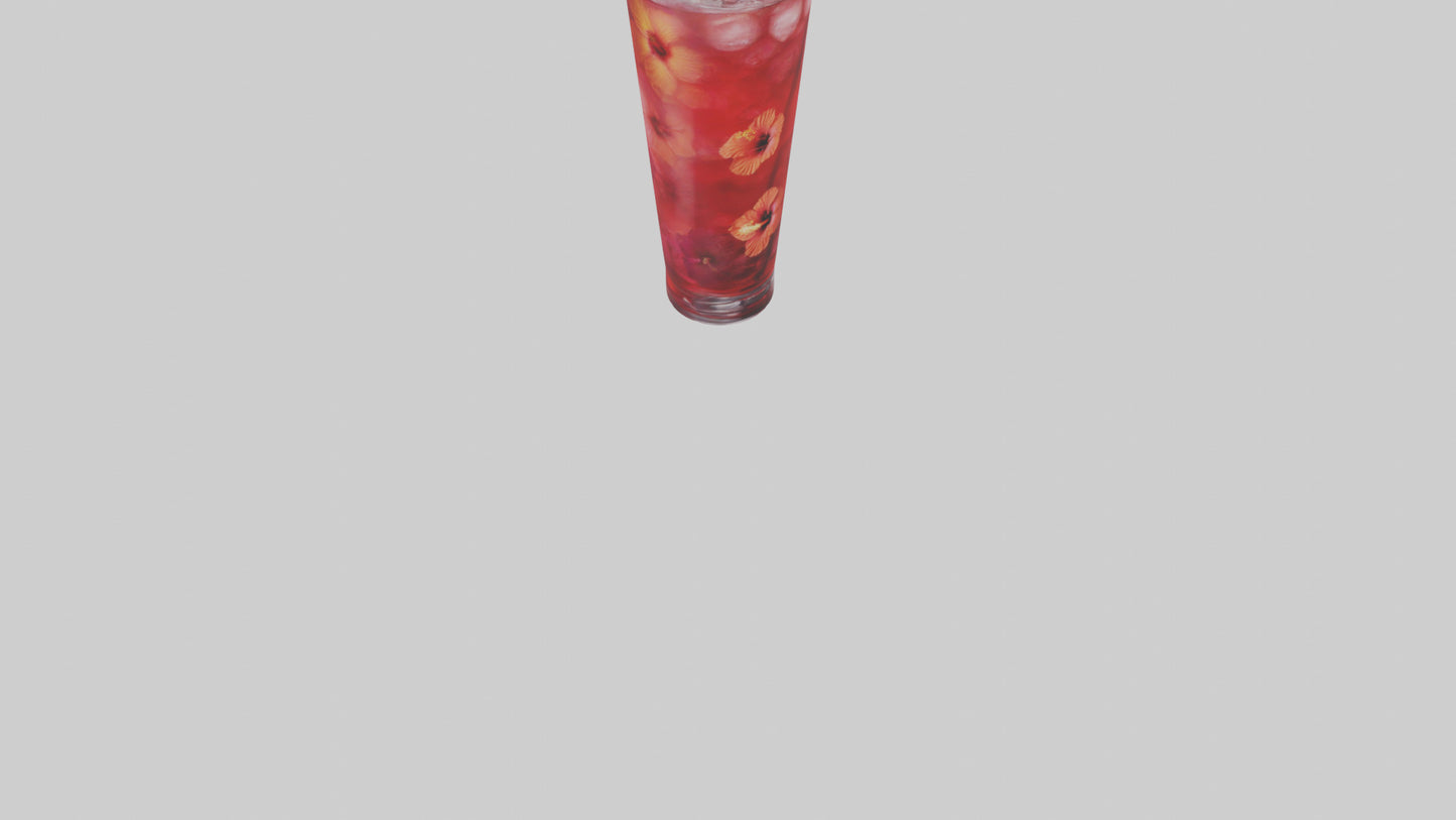 Hibiscus iced tea model VR / AR / low-poly