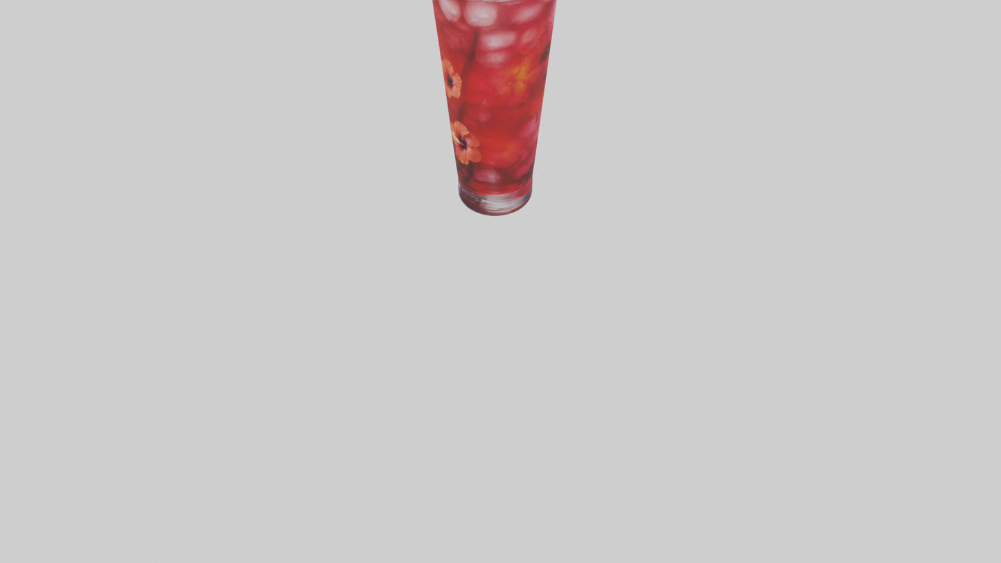 Hibiscus iced tea model VR / AR / low-poly