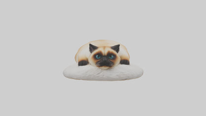 Himalayan Cat resting model VR / AR / low-poly