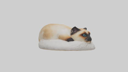 Himalayan Cat resting model VR / AR / low-poly