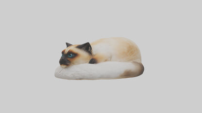 Himalayan Cat resting model VR / AR / low-poly