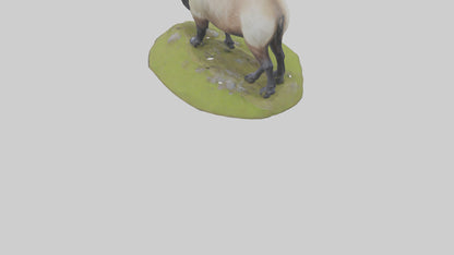 3D model Himalayan Tahr grazing model VR / AR / low-poly