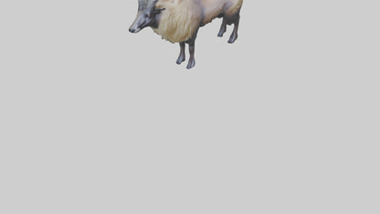 Himalayan Tahr standing model VR / AR / low-poly