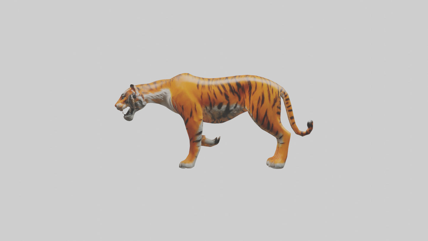 3D model Himalayan Tiger hunting model VR / AR / low-poly