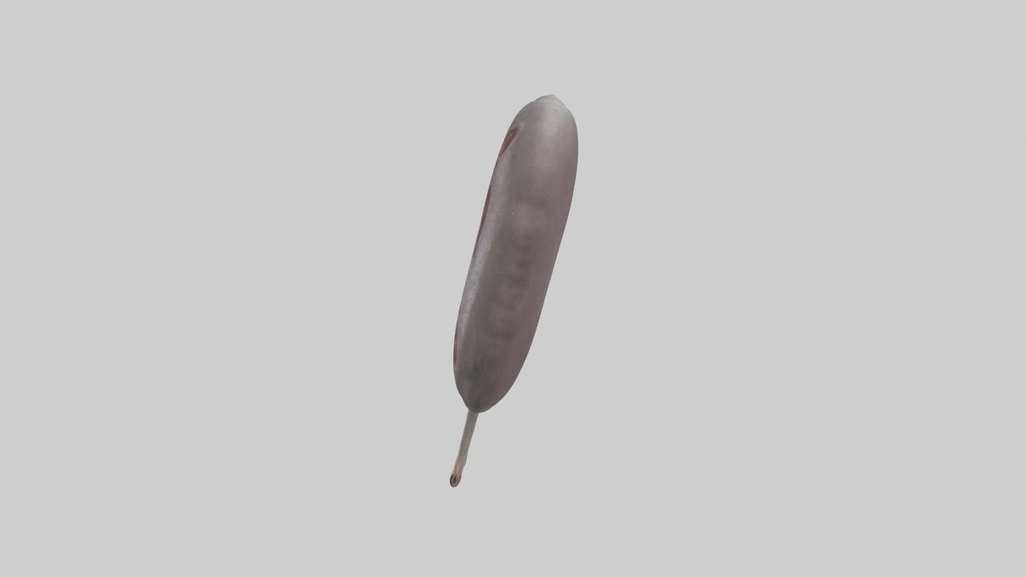 3D model Hippo Kidneys VR / AR / low-poly