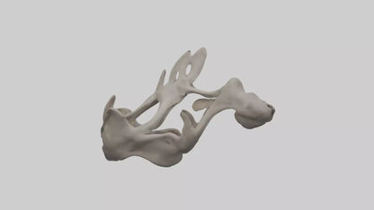 3D model Hippo Pelvis VR / AR / low-poly
