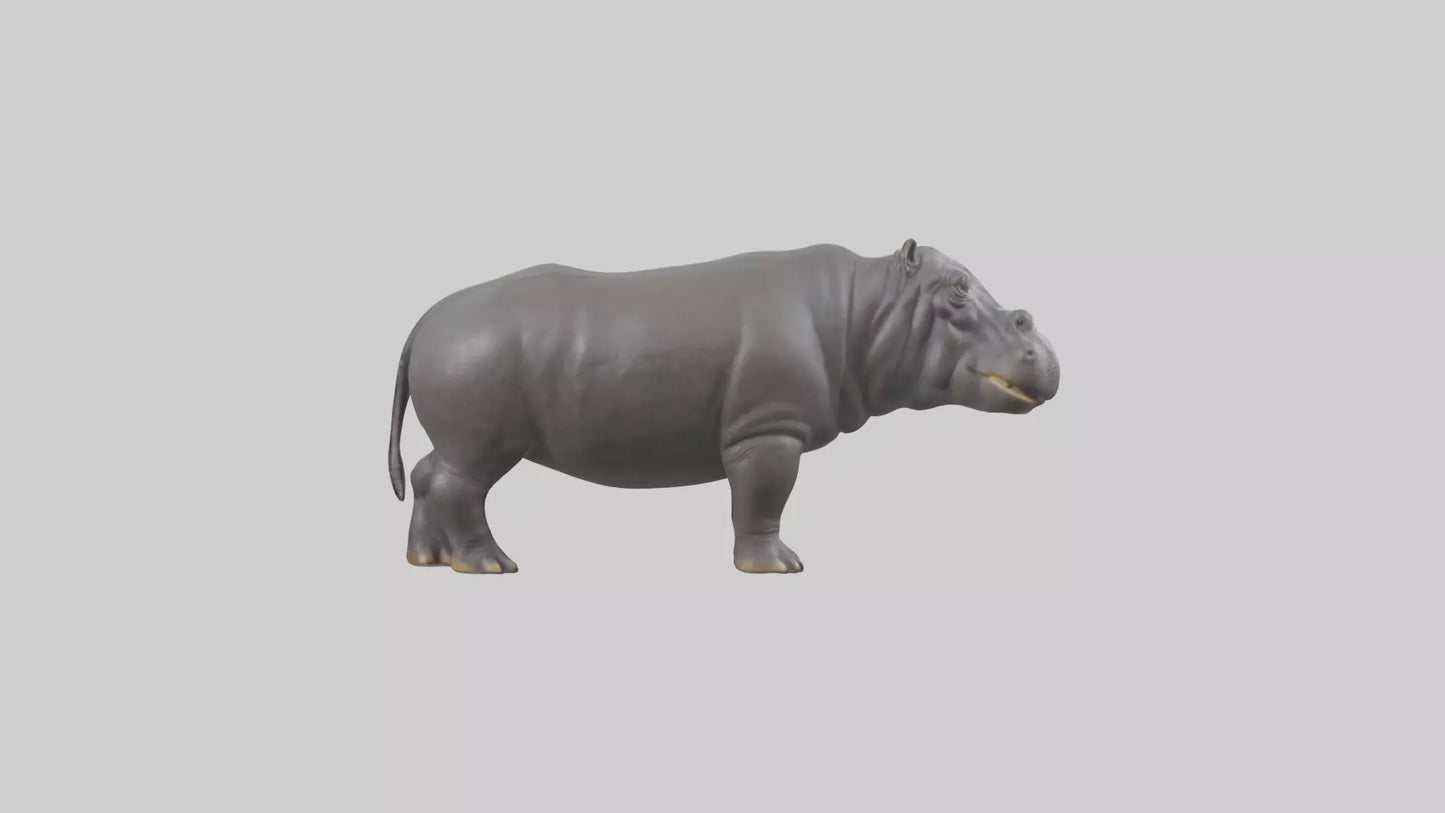 3D model Hippopotamus statue model VR / AR / low-poly