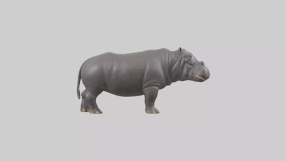 3D model Hippopotamus statue model VR / AR / low-poly