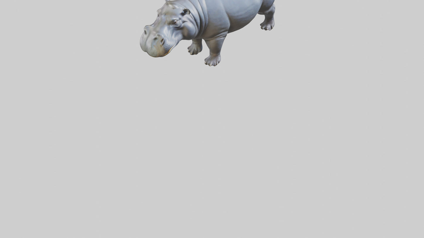 3D model Hippopotamus statue model VR / AR / low-poly